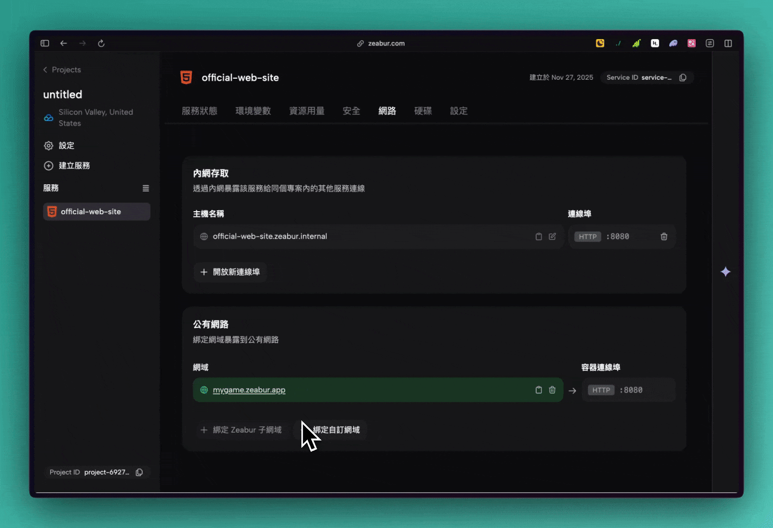步驟三：開啟你的自訂網域